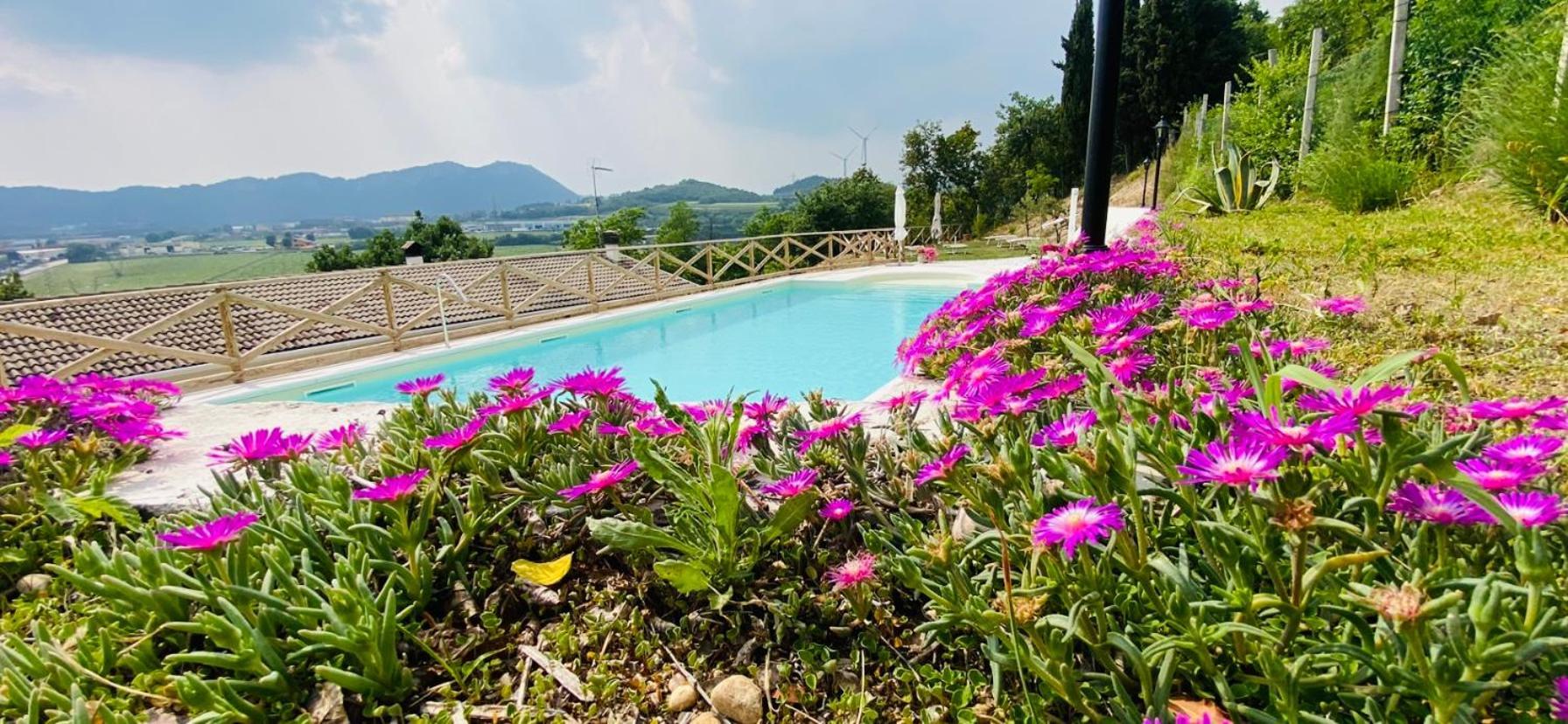 Villa Poggio Ulivo Pool-Apartments Rivoli Veronese Eksteriør bilde